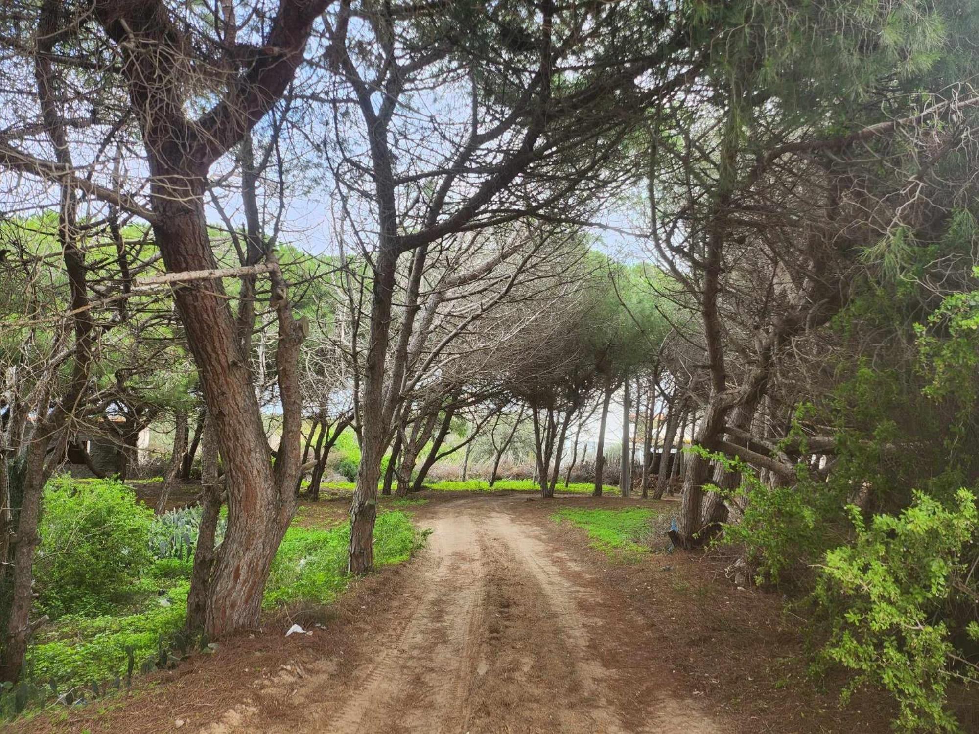 Villa Mabrouka Ra's al Jabal Zewnętrze zdjęcie